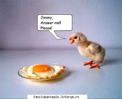 poze funny mortal