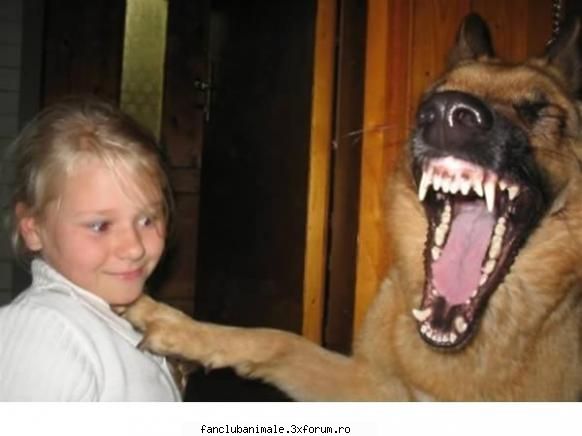 poze funny acuma cutu