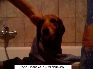plecam?te roggg cainele meu burky